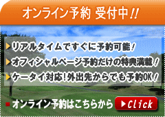 �g���z��GC�E�I�����C���\��